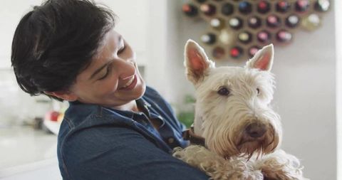 Smiling Woman Holding Terrier Dog in Sunny Kitchen