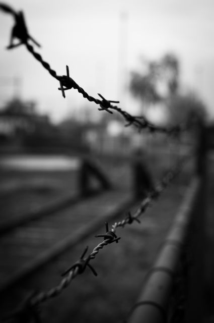 Barbed wire photo in black and white showing perspective and depth of field, ideal for themes involving security, restriction, industrial environments, historical settings or dramatic visuals in creative projects depicting boundaries and separation.
