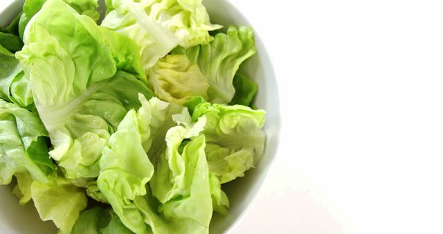 A bowl of fresh green lettuce is displayed against a white background, with copy space. Lettuce is a common ingredient in salads and is known for its crisp texture and nutritional benefits.