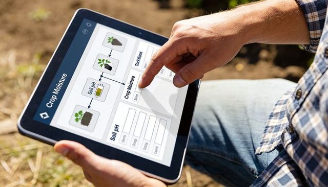 Farmer using tablet monitoring crop moisture and soil ph with field data interface