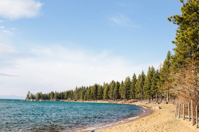 Lakeside beach with forest background. Great for travel promotions, nature blogs, relaxing vacation themes, outdoor activities, and environmental awareness campaigns.