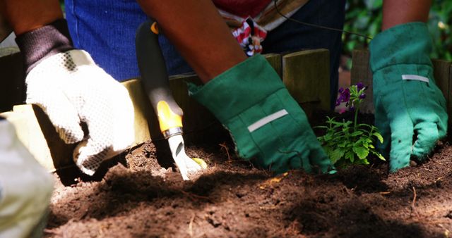 Hands wearing gardening gloves are planting flowers in soil, with copy space. A trowel is also visible, indicating active work in a garden setting.