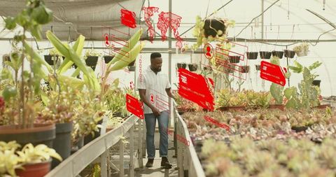 Man walking greenhouse aisles examining plants with augmented reality plant data overlays