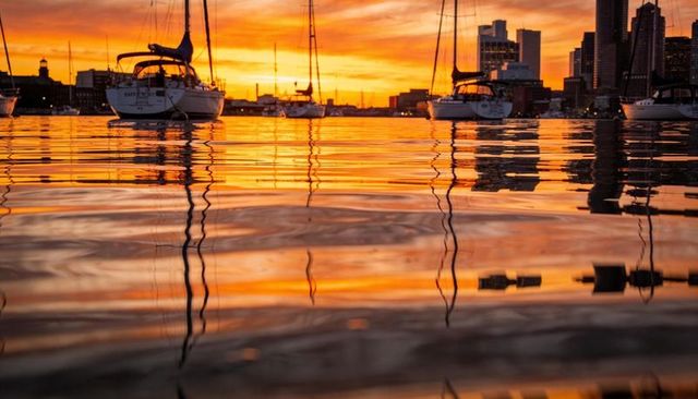 Glittering sunset reflections over moored sailboats and city skyline at dusk