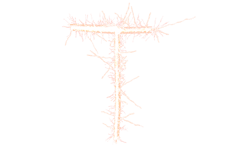 artistic neon pink t letter on transparent background - Download Free Stock Videos Pikwizard.com
