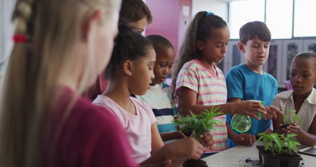 Diverse Group of Children Planting Seedlings in Classroom - Download Free Stock Images Pikwizard.com