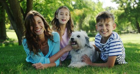 Happy Family with Kids and Dog Lying in Park on Sunny Day