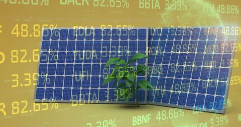 Sustainable Finance with Solar Panels and Digital Stock Data