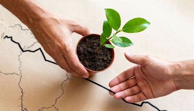 Hands exchanging potted seedling over drawn line symbolizing growth and environmental recovery