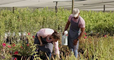 Diverse Professionals Cultivating Seedlings at Outdoor Nursery