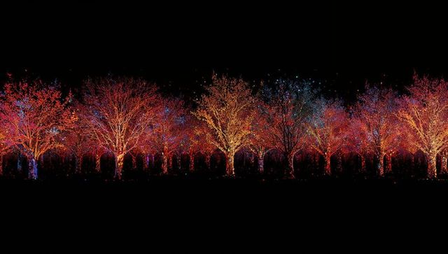 Glowing tree row lining walkway, multicolored led sparkling canopy on black night