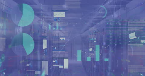 Digital Network Data Visualization with Graphs Over Servers