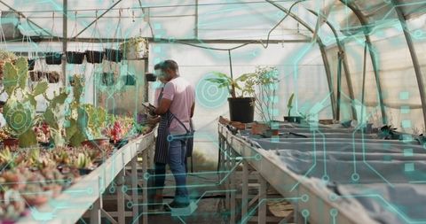 Greenhouse workers using tablet with ar overlay inspecting succulents and cacti