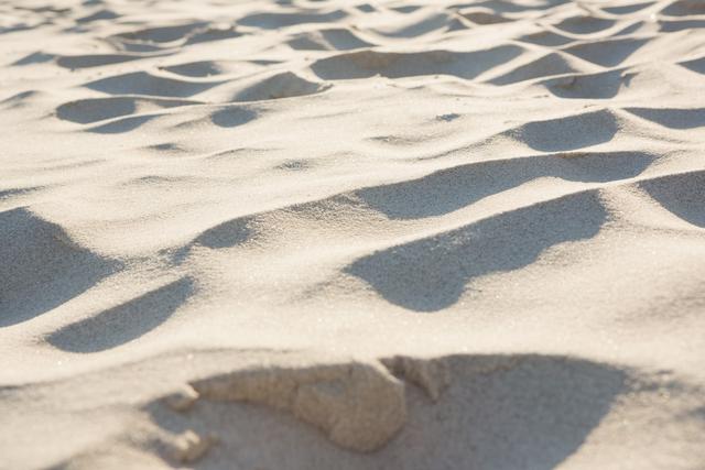 Surface of rippled sand at the beach