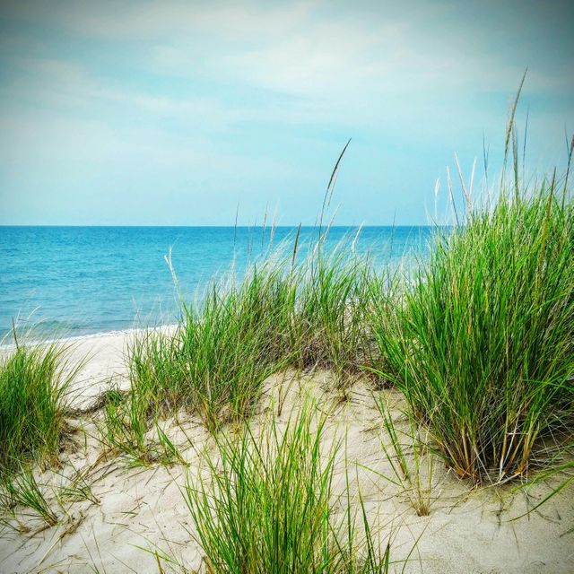 Peaceful Beach with Dune Grass and Calm Ocean - Download Free Stock Photos Pikwizard.com