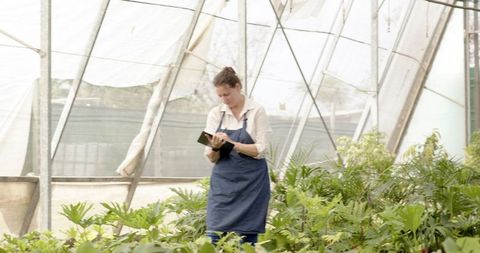 Horticulturist Documenting Plant Growth in Greenhouse