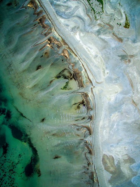 Beautiful aerial capturing coastal landforms and distinct algal blooms creating abstract patterns. Ideal for nature, geography, environmental science, and artistic backgrounds, conveying the beauty and complexity of natural marine landscapes.