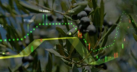 Digital agriculture: stock market overlay with olive growth focus