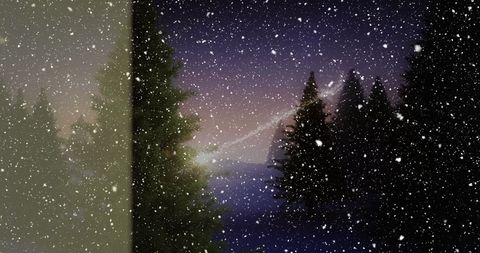 Snow Falling Over Forest in Winter Wonderland - Download Free Stock Images Pikwizard.com