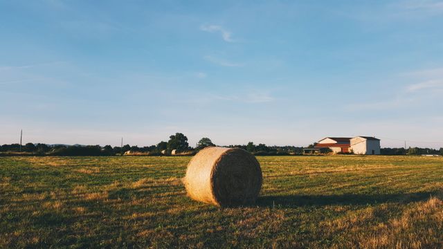 Hay bale sitting on a grassy field in the rural countryside with a farm building in the background under clear, sunny skies. Perfect for promoting agricultural products, rural living, natural beauty, and environmental themes.