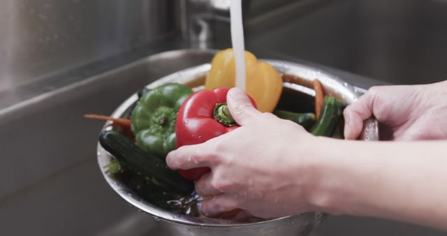 Chef Washing Colorful Vegetables in Kitchen Sink - Download Free Stock Images Pikwizard.com