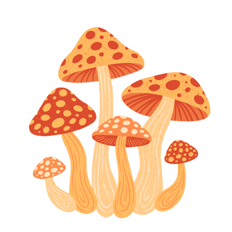 Transparent botanical illustration of whimsical orange-spotted mushrooms