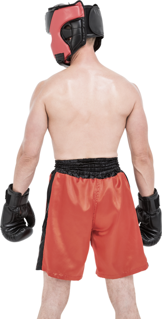 Transparent Rear View Male Boxer Sports Equipment - Download Free Stock Videos Pikwizard.com