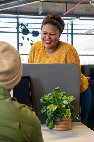 African American woman leaning and smiling over modern office partition with green plant