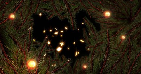 Snow Falls on Fir Branches and Twinkling Fairy Lights - Download Free Stock Images Pikwizard.com