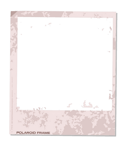 vintage polaroid frame with distressed border on transparent background - Download Free Stock Videos Pikwizard.com