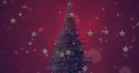 Festive Christmas Tree with Glittering Stars Animating Over Red Background