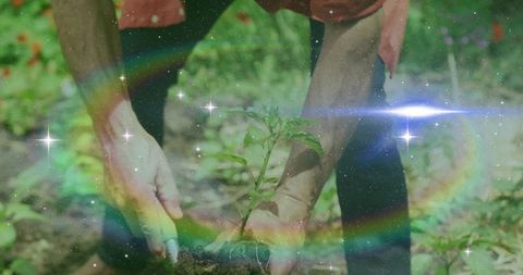 Person planting seedling encircled by rainbow light effects