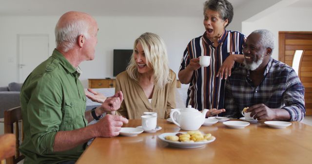 Senior Friends Enjoying Afternoon Tea and Laughter - Download Free Stock Images Pikwizard.com