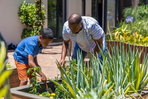 African american father and teen son gardening together in raised planter on sunny patio