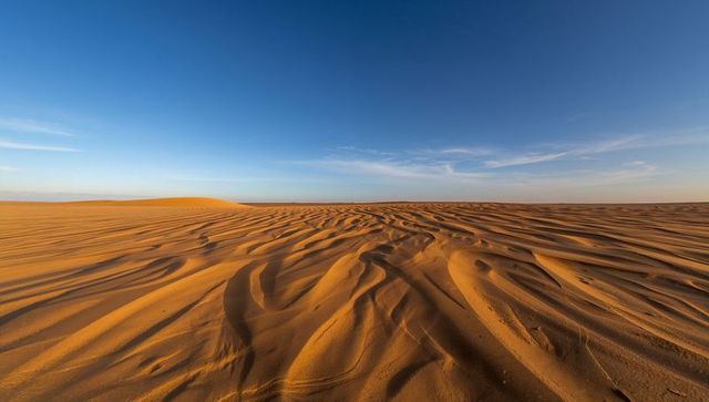 Golden rippling sand dunes at sunset with wide blue sky and wind-sculpted patterns