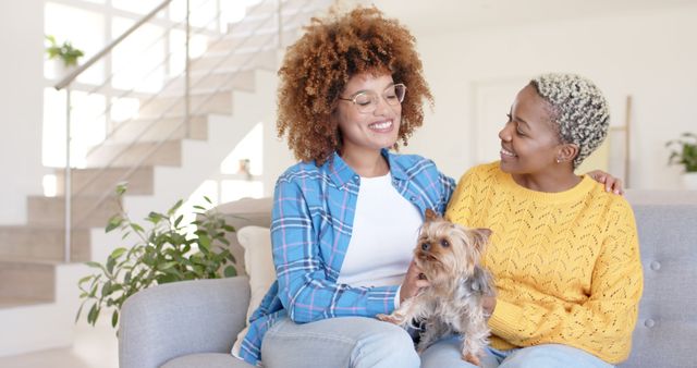 Happy Couple Enjoying Time with Pet Dog at Home - Download Free Stock Images Pikwizard.com