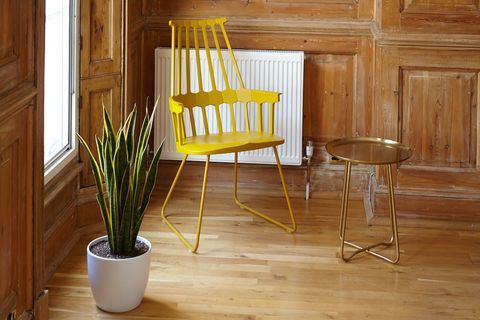Modern interior with yellow chair and snake plant