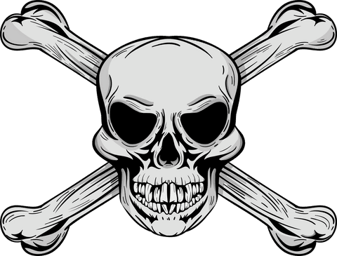 skull crossbones angry expression illustration transparent - Download Free Stock Videos Pikwizard.com