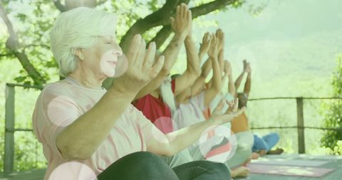 Senior Group Enjoying Outdoor Yoga in a Tranquil Garden Setting