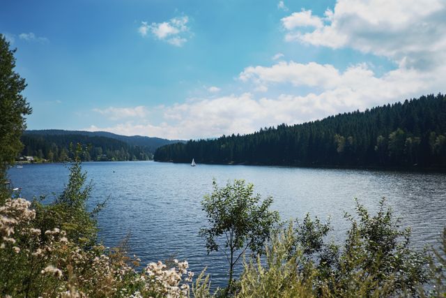 Featuring a serene lake surrounded by a dense, lush forest under a clear blue sky, this image captures the essence of natural beauty and tranquility. Ideal for use in travel and adventure blogs, nature magazines, promotional materials for outdoor activities, and environmental conservation projects. The scene evokes a sense of calmness and peace, making it perfect for mindfulness and relaxation content.