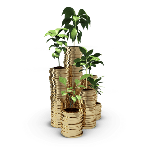 coins stacked with green plants on transparent background - Download Free Stock Videos Pikwizard.com