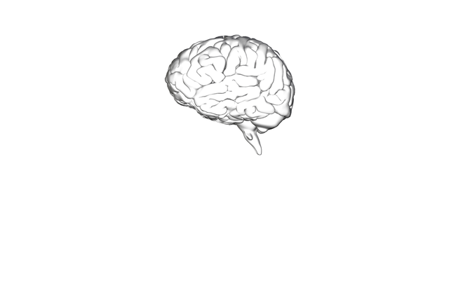 Transparent Brain Illustration with Copy Space on Black Background - Download Free Stock Videos Pikwizard.com