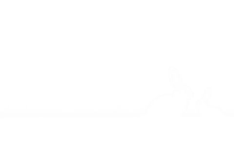 Silhouette of Rabbits on Grass with Transparent Background - Download Free Stock Videos Pikwizard.com