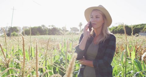 Female farmer using smartphone in cornfield on sunny day