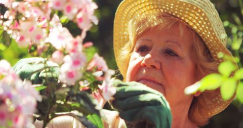 Senior Woman Gardening on Sunny Day Trimming Flowers