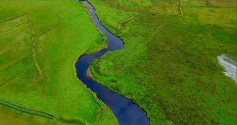 transparent serpentine river amid lush greenery - Download Free Stock Videos Pikwizard.com