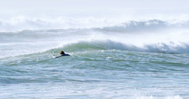 Surfer Paddling Through Ocean Waves on Sunny Day - Download Free Stock Images Pikwizard.com