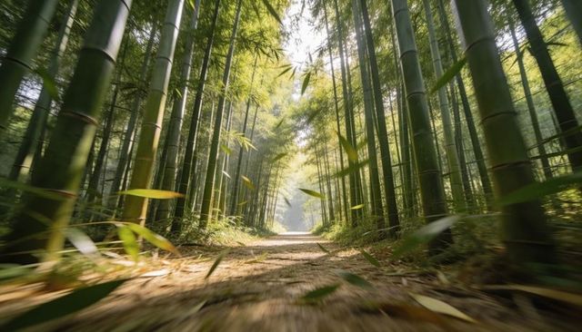 Sunlit bamboo tunnel leading winding earthen path with falling leaves and golden rays
