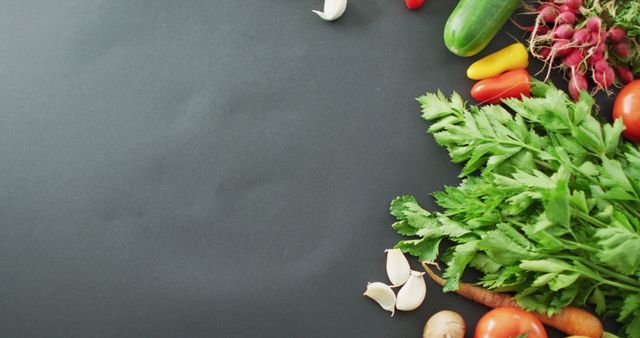 Fresh Assorted Vegetables on Dark Background with Copy Space - Download Free Stock Photos Pikwizard.com