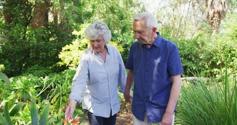 Elderly Couple Enjoying Gardening in Lush Greenery